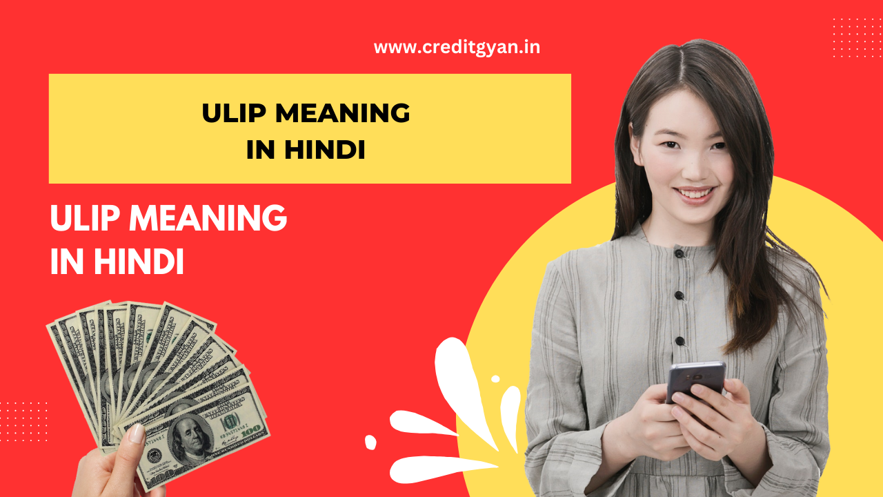 ULIP Meaning in Hindi